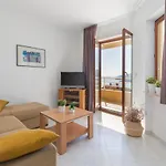 Agava 라벡